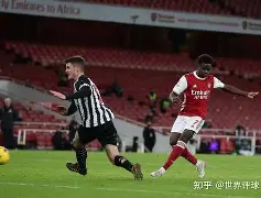 C7娱乐-富勒姆主场战平纽卡斯尔，争夺保级越加激烈的简单介绍